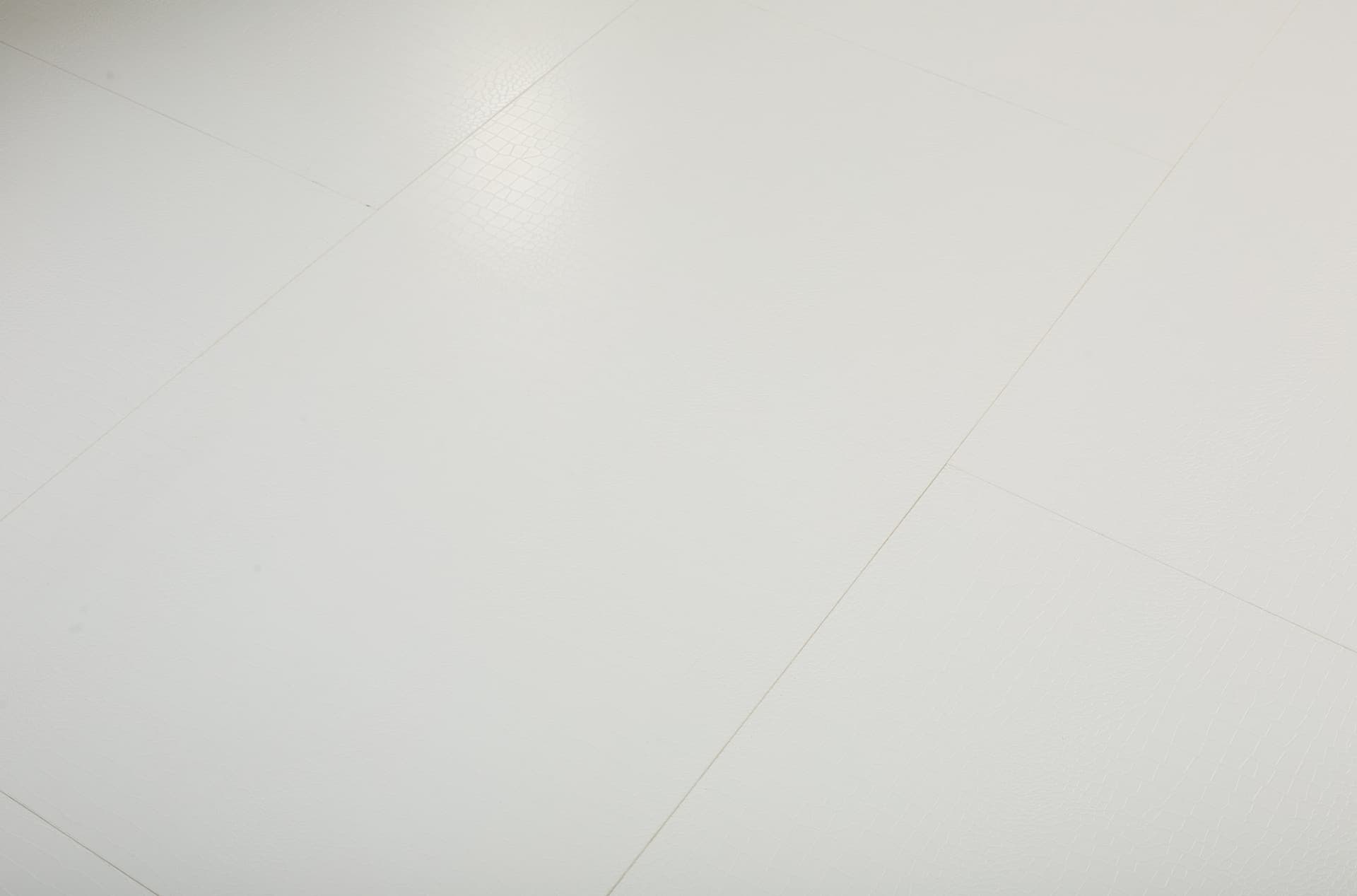 Laminate Flooring - Ash Oak design 10