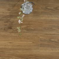 Spotted Gum