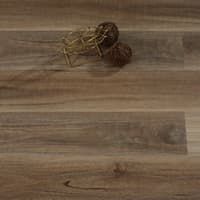 Spotted Gum